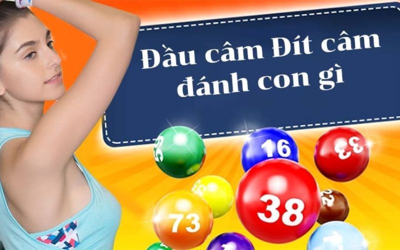 Các loại lô câm phổ biến